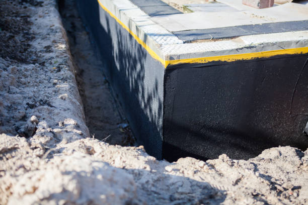 Professional Wet Basement Repair technician working in Alden, KS